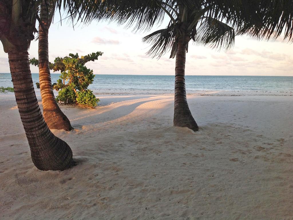 Pongwe Bay Resort Exterior foto